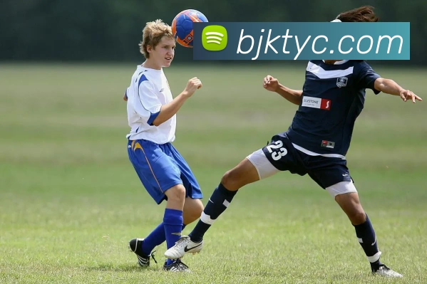 App Interface Preview